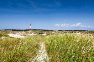 Nebel auf Amrum