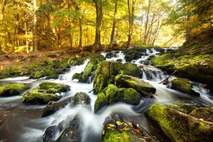 Naturpark Harz