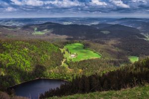 Titisee