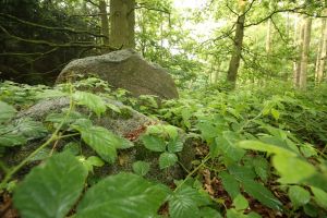 Mecklenburg ‘Switzerland’