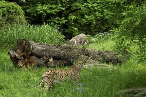 Tierparks in NRW