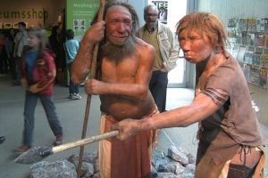 Museum Neanderland