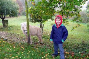 Apfelwein-Tour im Rhein-Main-Gebiet