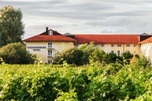 Steigenberger Hotel Deidesheim