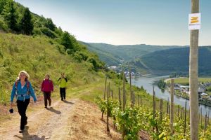 Moseltal zum Staunen