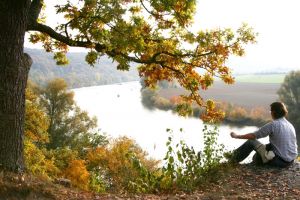 Faszination Donau: 220 Kilometer purer Genuss am Fluss