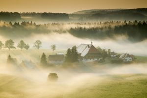 The Black Forest: A real autumn treat