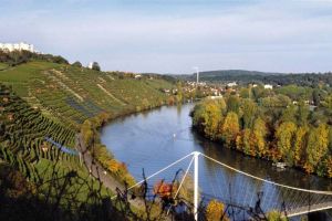 The Stuttgart Region has a long tradition of viniculture 