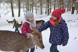 Auf den Spuren von Fuchs und Hase