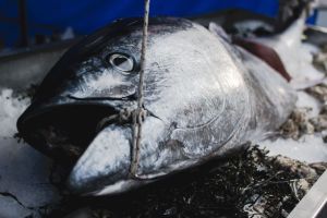 Aufgetischt! Die Insel Rügen zeigt sich 2018 von seiner kulinarischen Seite