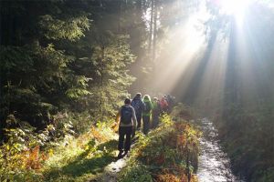 Start in den Wanderfrühling - Drei Tage Genusswandern