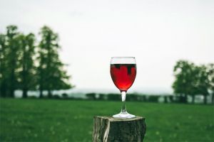  Rise in demand for German Pinot Noir: Tasting in London