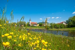 Wanderfrühling im Nördlichen Schwarzwald