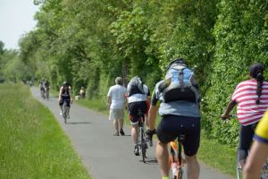 Discovering the Frankfurt GreenBelt on foot or by bicycle