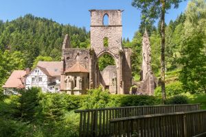 Schwarzwald begeistert immer mehr Menschen