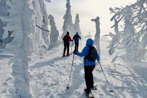 ‘Eskimo-Wandern’ am ‘weißen Dach Europas’