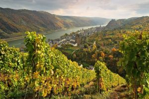 MERIAN-Reiseführer ‘Discover Germany´s Wine Regions’ neu aufgelegt