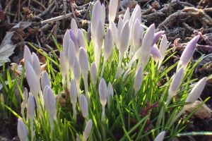 Buntes Programm an Ostern in Ostbayern