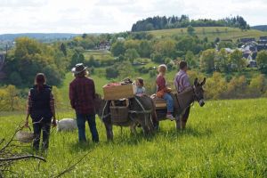 Familienurlaub ohne Handicap