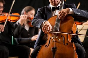 Die Dresdner Philharmonie stellt ihre neue Konzertsaison vor