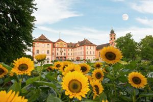 Das Mainau-Blumenjahr 2019