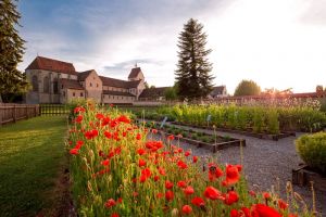 Kirchen, Klöster, Weltkultur!