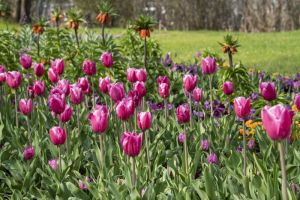 Bundesgartenschau kommt in den Süden