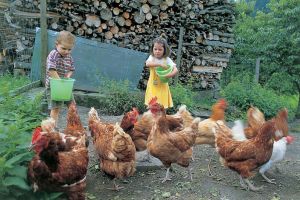 Grüne Ferien mit der ganzen Familie