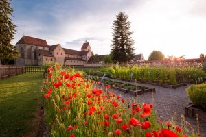 Lake Constance Gardens – a journey through time - making you want to discover green oases