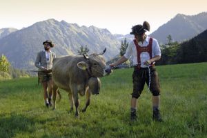 Allgäu/Bavarian-Swabia