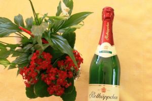 Red Riding Hood Sparkling Wine (Rotkäppchen Sekt)