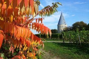 Die Flörsheimer Warte, Flörsheim