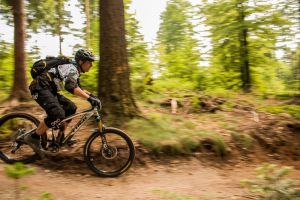 Sasbachwalden präsentiert die Schaeffler-Mountainbike-Arena