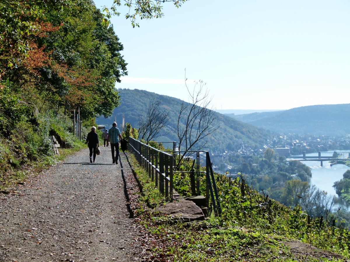 Fränkischer Rotweinwanderweg