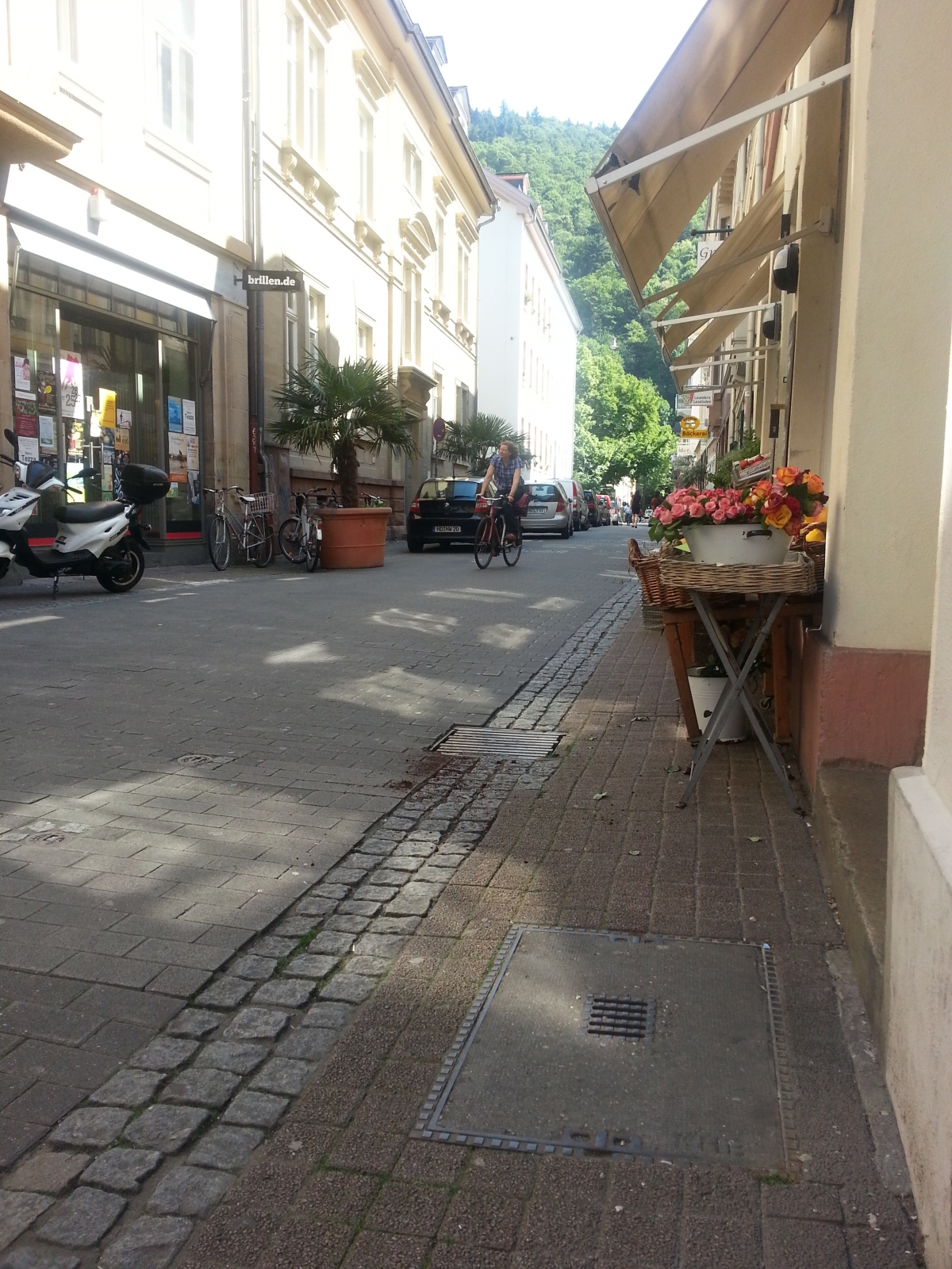 Altstadt Heidelberg, Seitengasse