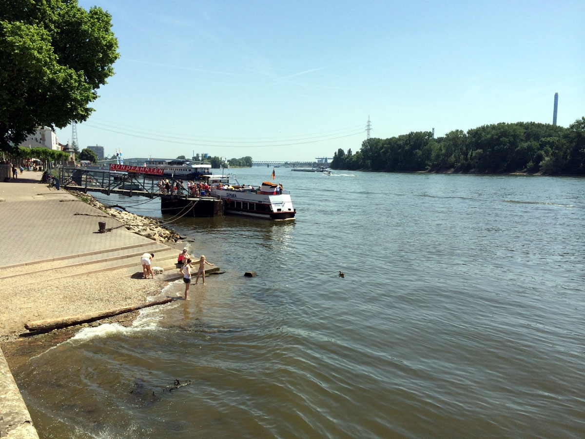 Biebrich Rhine River