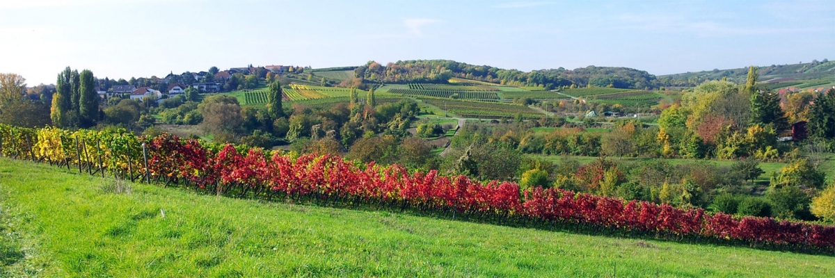 Rheinhessen, Partenheim