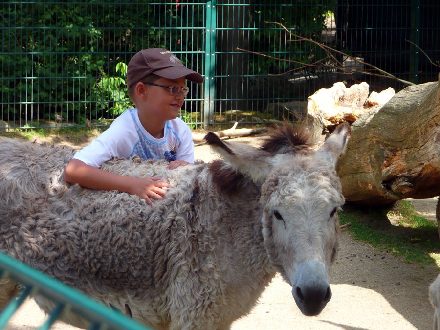 Opel Zoo, Bad Kronberg