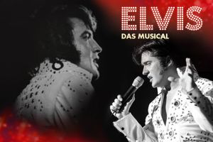 Elvis - Das Musical - Deutschland-Tournee 2016