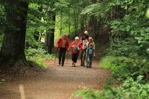 Genuss-Wanderwoche in Bad Harzburg