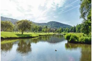 Palmen, Linden und Rosen: Neue Erlebnisführung in Bad Kissingen
